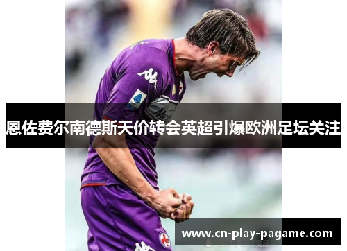 恩佐费尔南德斯天价转会英超引爆欧洲足坛关注