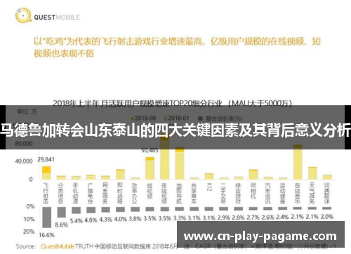 马德鲁加转会山东泰山的四大关键因素及其背后意义分析 马德鲁加转会山东泰山的四大关键因素及其背后意义分析